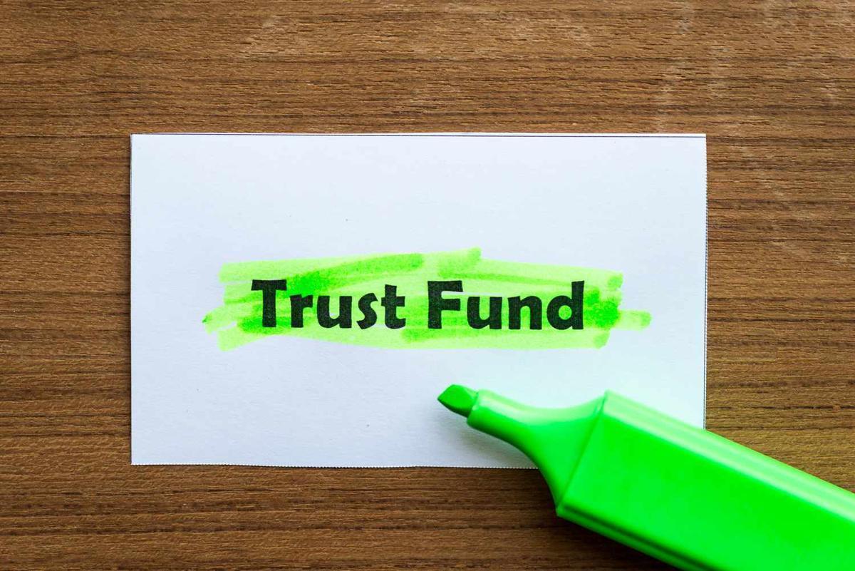 Trust Fund & Special Investigations
